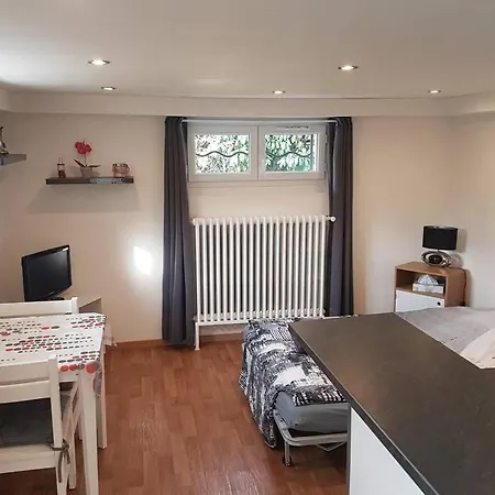 Joli Studio Dans Une Maison, Quartier Calme. 아파트 *